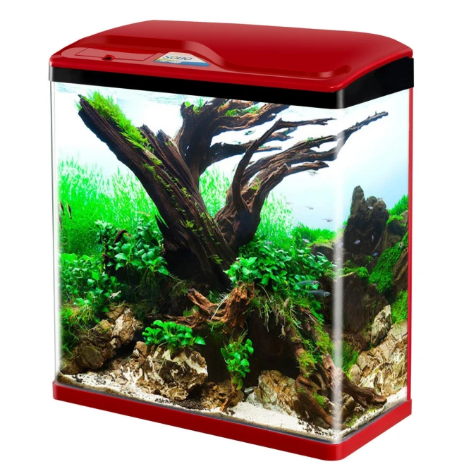 Small fish tank with lights and filter