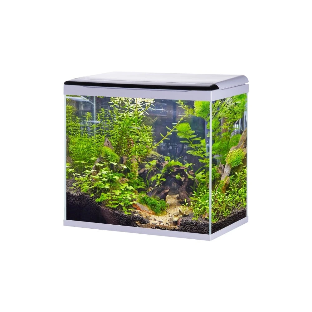Small fish tank with three-color touch lighting and filter