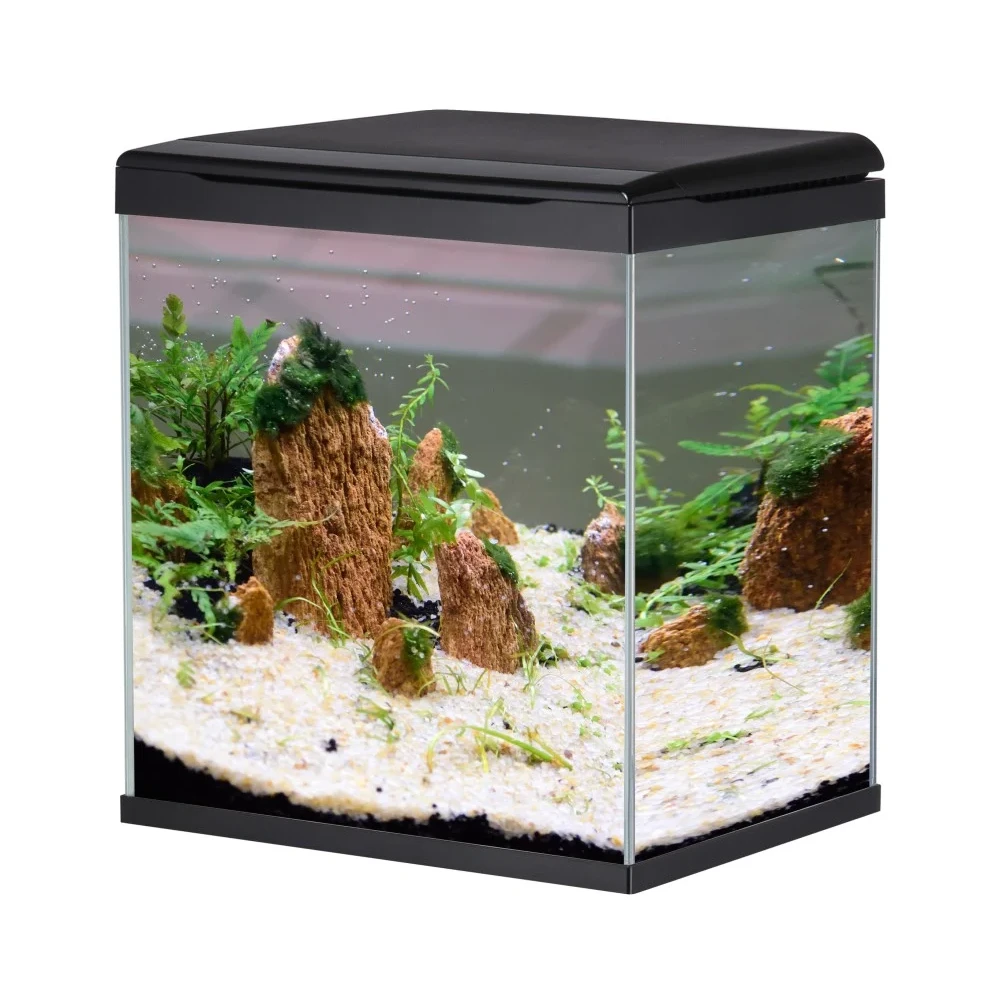 Mini fish tank with three-color touch lighting and filter